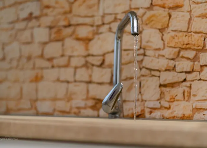 Apartament Maksim And Timon