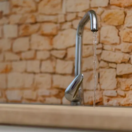 Apartman Maksim And Timon