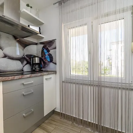 Maksim And Timon Krk Town